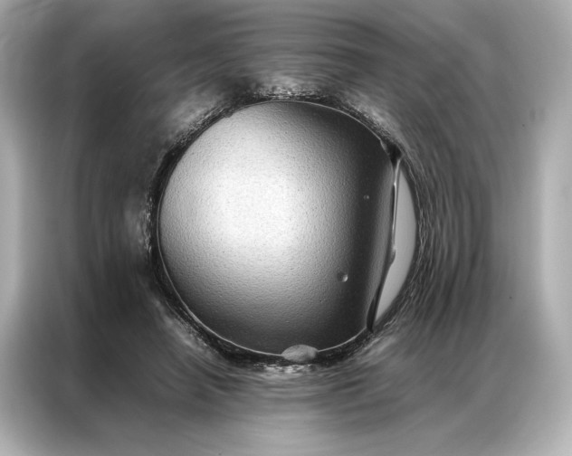 X0000086890450200704301000