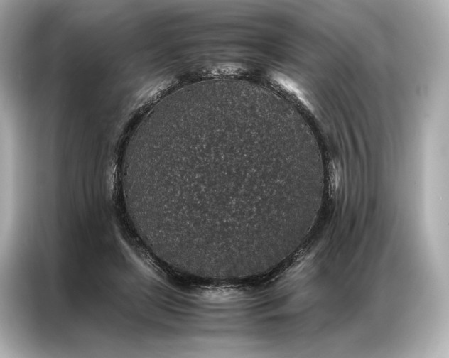 X0000086890451200704301000