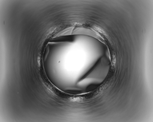 X0000086890452200704301000