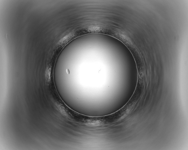 X0000086890454200704301000