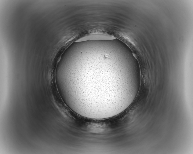 X0000086890455200704301000