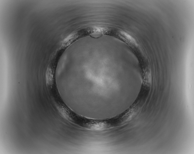 X0000086890456200704301000