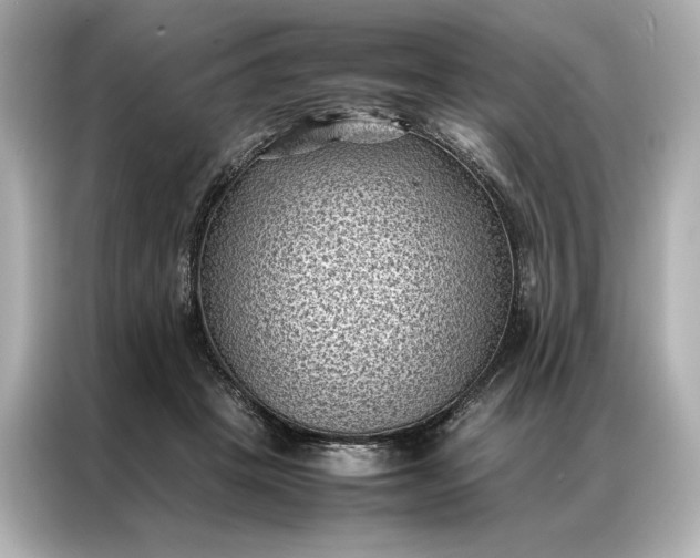 X0000086890457200704301000