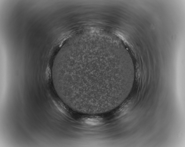 X0000086890459200704301000