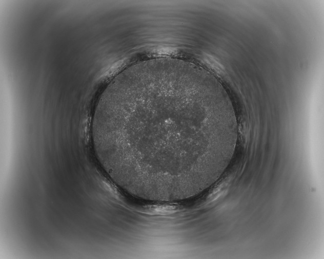 X0000086890462200704301000