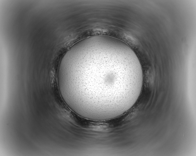 X0000086890463200704301000