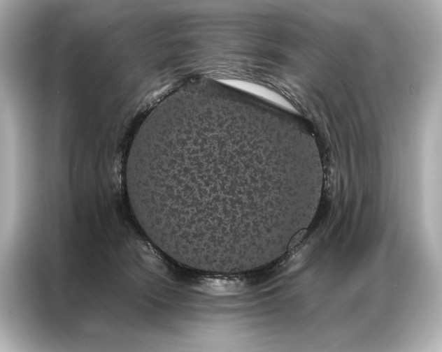 X0000086890466200704301000