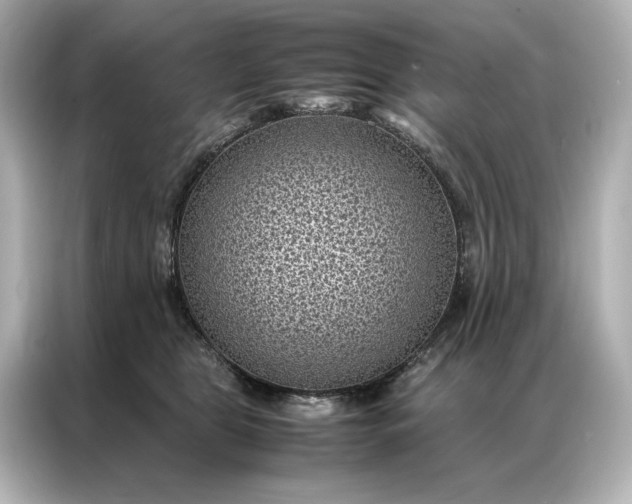 X0000086890469200704301000