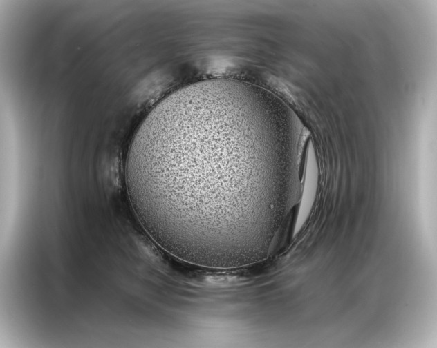 X0000086890470200704301000