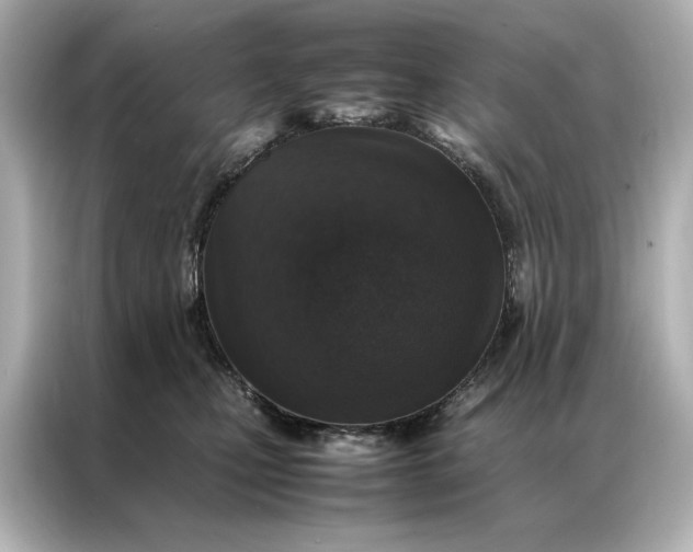 X0000086890471200704301000