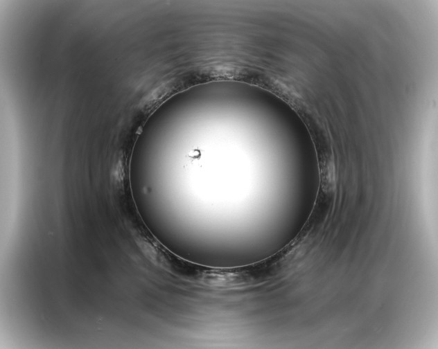 X0000086890472200704301000