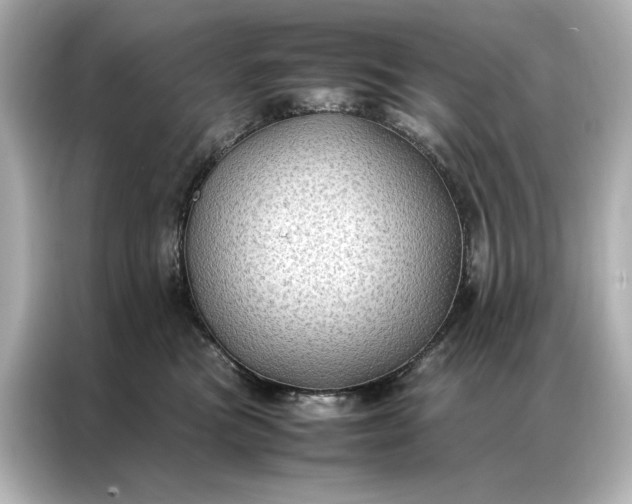 X0000086890473200704301000