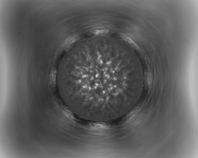 X0000086890475200704301000