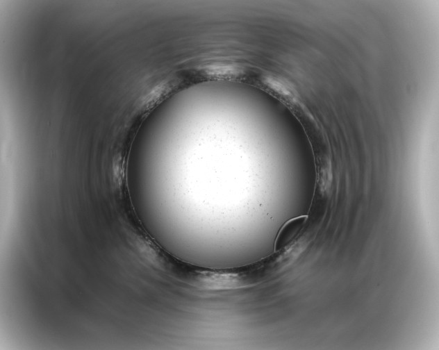 X0000086890476200704301000