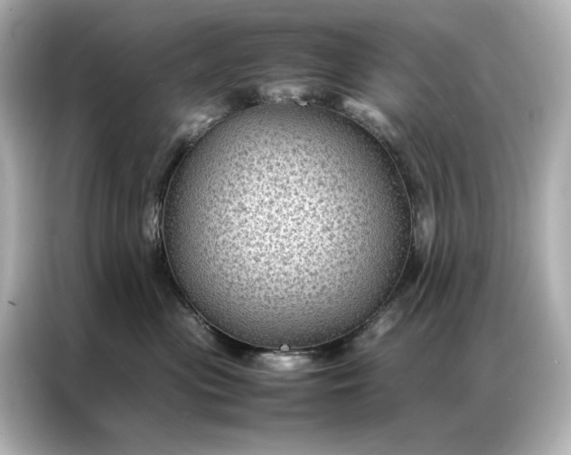 X0000086890477200704301000