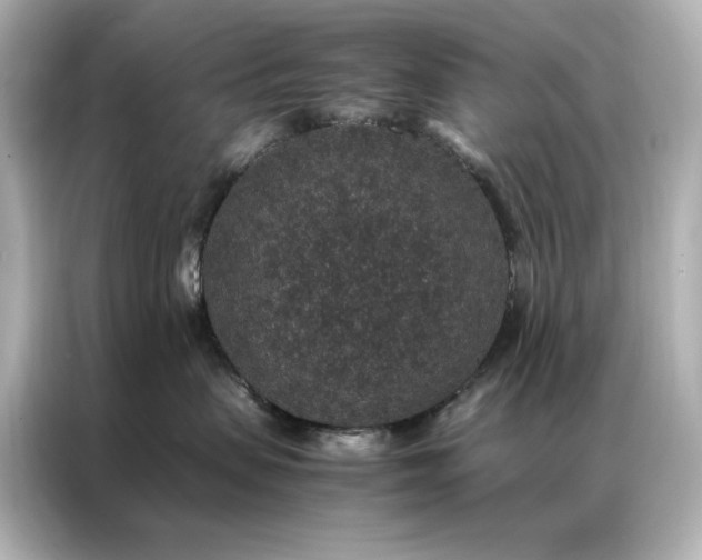 X0000086890479200704301001