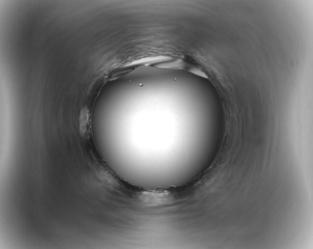 X0000086890480200704301001