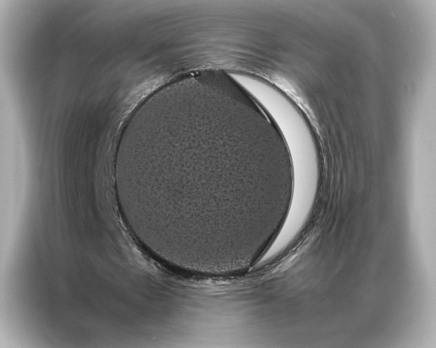 X0000086890481200704301000