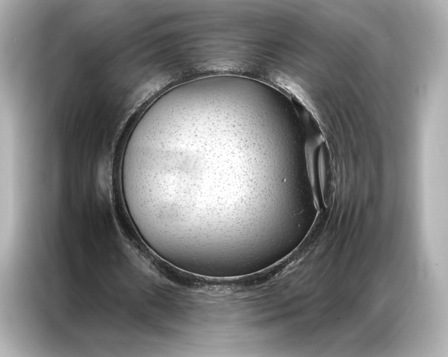 X0000086890482200704301000