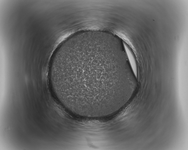 X0000086890483200704301000