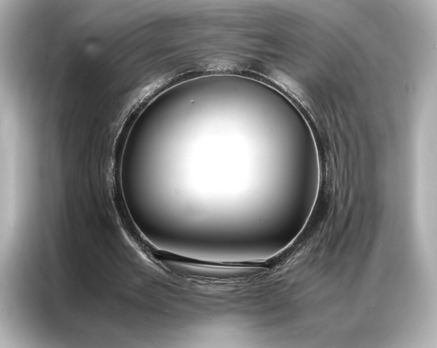 X0000086890485200704301000