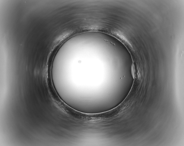 X0000086890486200704301000