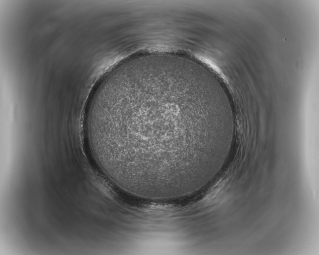 X0000086890487200704301000