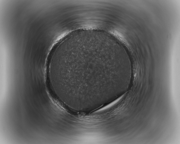 X0000086890488200704301000