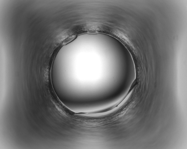 X0000086890489200704301000