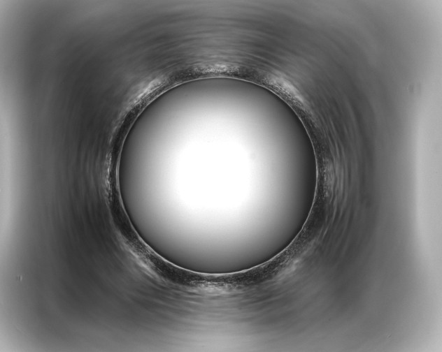 X0000086890490200704301000