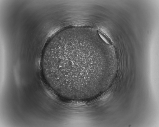 X0000086890491200704301000