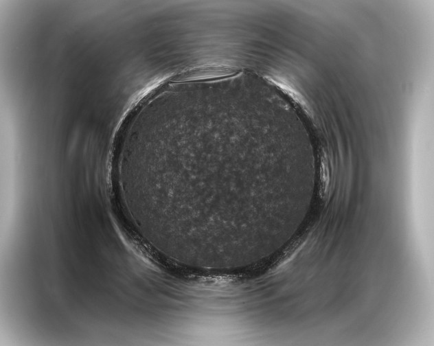 X0000086890492200704301000