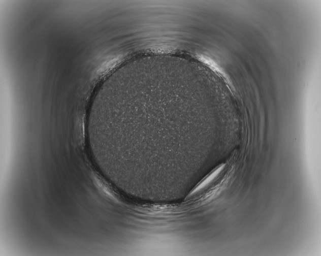 X0000086890493200704301000