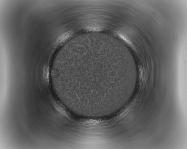 X0000086890494200704301000