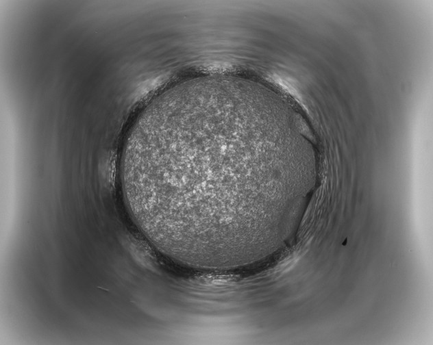 X0000086890495200704301000