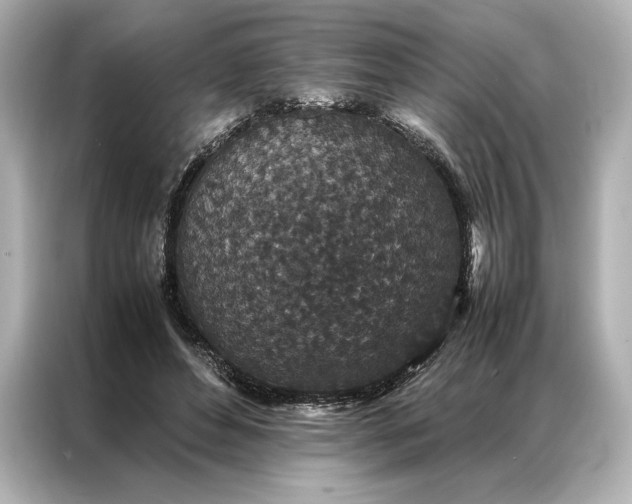 X0000086890496200704301000