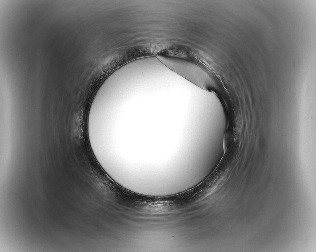 X0000086890497200704301000