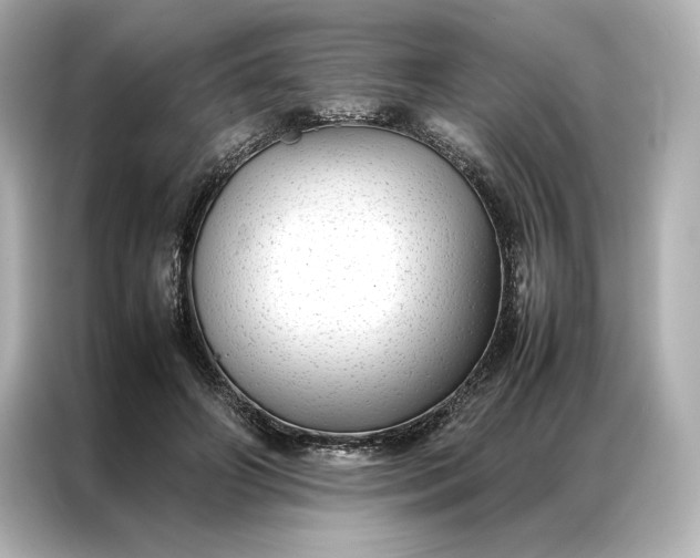 X0000086890498200704301000