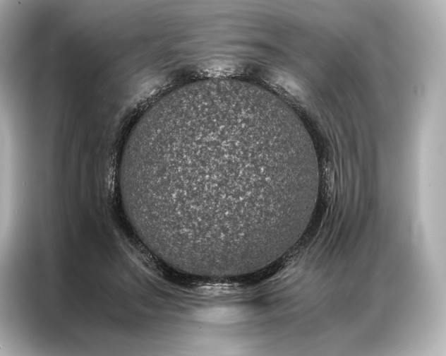 X0000086890499200704301000