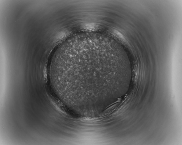 X0000086890500200704301000