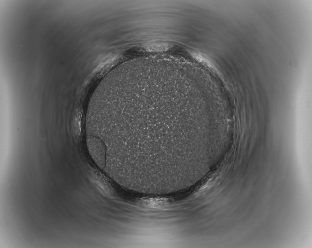 X0000086890501200704301000