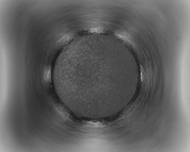 X0000086890502200704301000