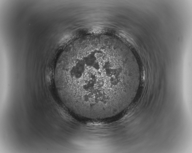 X0000086890503200704301000