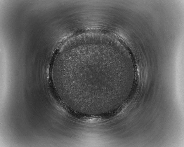 X0000086890504200704301000