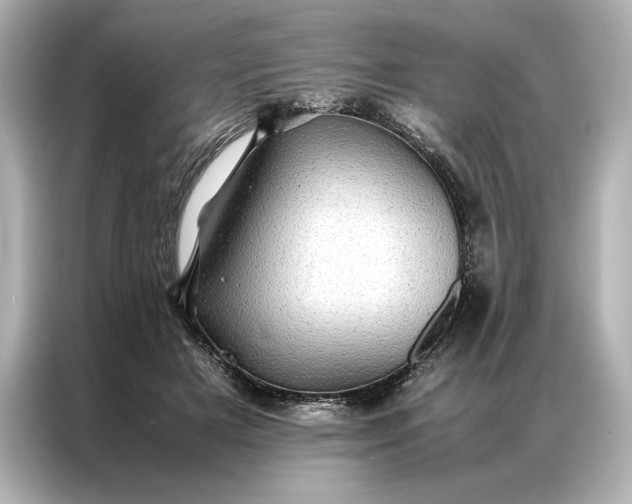 X0000086890505200704301000