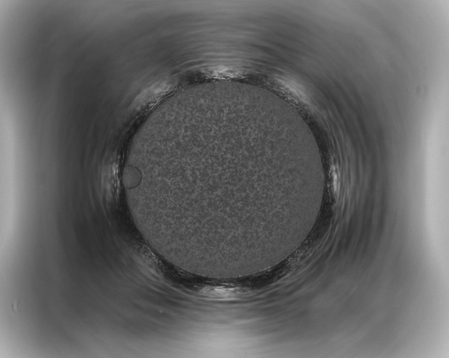 X0000086890506200704301000