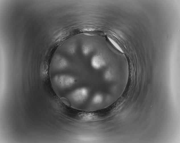 X0000086890507200704301000