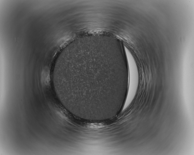 X0000086890508200704301000