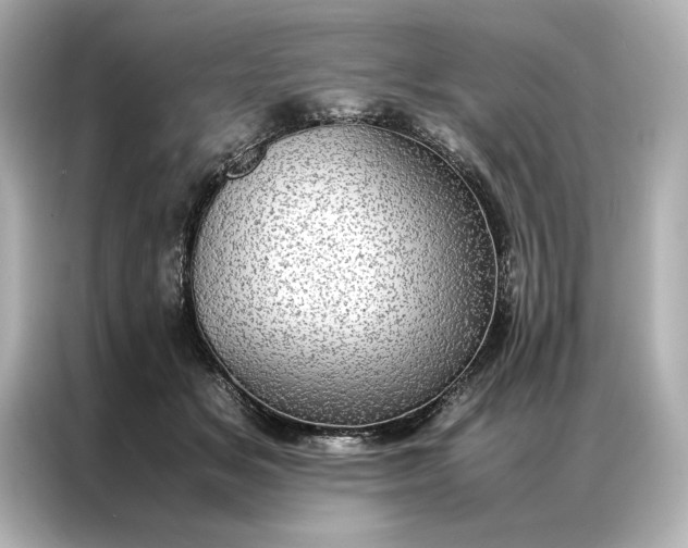 X0000086890509200704301000