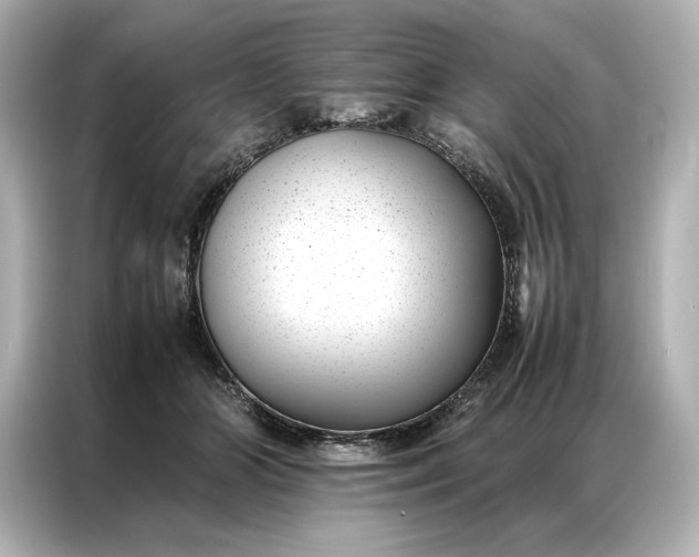 X0000086890510200704301000